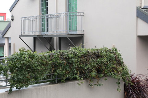 Quality Inn & Suites The Menzies - Accommodation Coffs Harbour 23