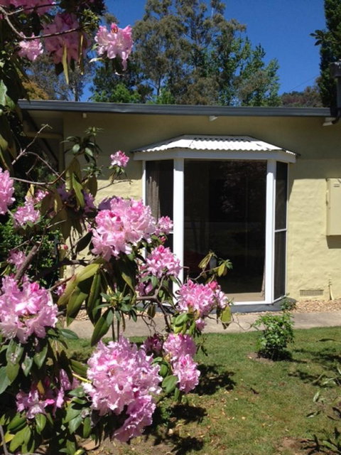On The Banks - Accommodation Coffs Harbour 20