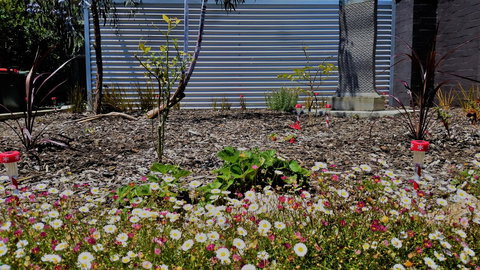 The Olive Tree Motel - Accommodation Coffs Harbour 16