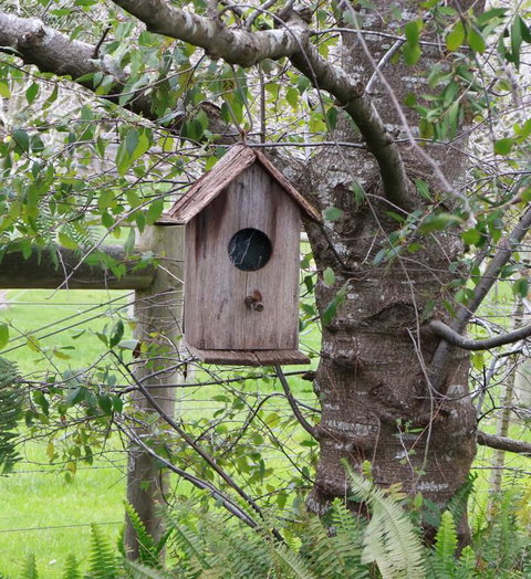 The Little House On The Hill - Accommodation Coffs Harbour 3