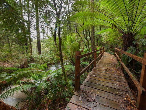 The Source, Otways - Accommodation Coffs Harbour 0