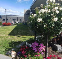 Velika - Accommodation Coffs Harbour