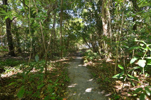 Villa Frangipani - Accommodation Coffs Harbour 2