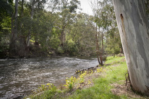 Oscar\'s On The Yarra - Accommodation Coffs Harbour 23