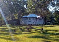 Book Peregian Beach Accommodation Vacations Accommodation Coffs Harbour Accommodation Coffs Harbour