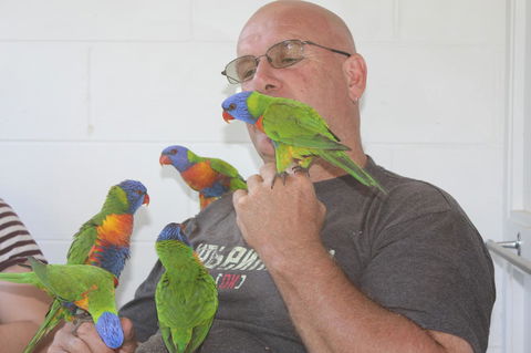 Amaroo On Mandalay, Magnetic Island - Accommodation Coffs Harbour 33