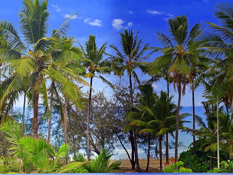 By The Sea Port Douglas - Accommodation Coffs Harbour 3