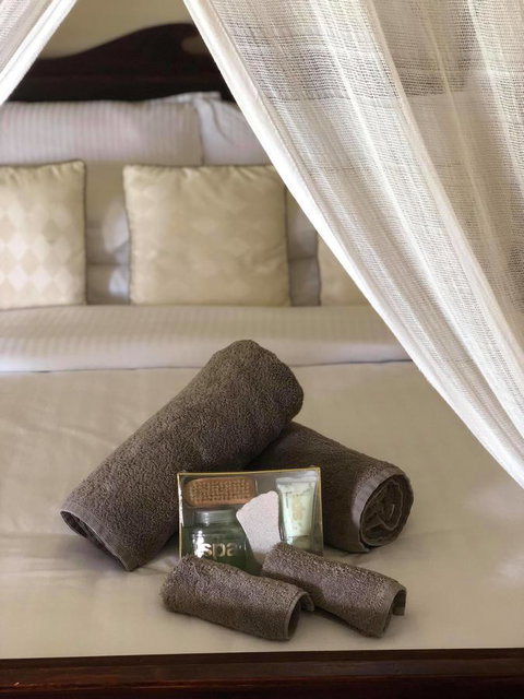 The Bearded Dragon Boutique Hotel - Accommodation Coffs Harbour 4