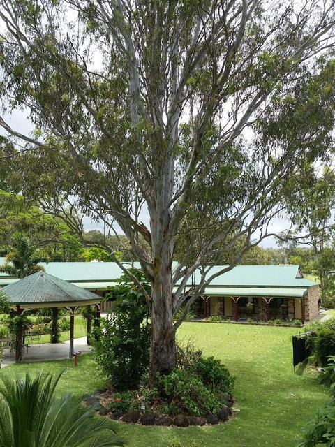 The Bearded Dragon Boutique Hotel - Accommodation Coffs Harbour 32