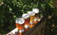 The Bearded Dragon Boutique Hotel - thumb 31