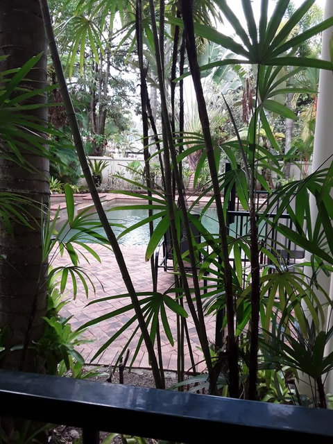 Jackies Holiday Apartment - Accommodation Coffs Harbour 13