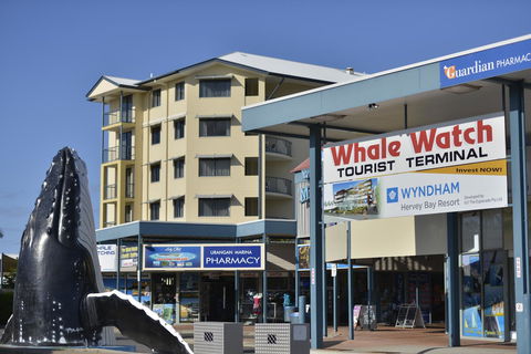 Mantra Hervey Bay - Accommodation Coffs Harbour 23