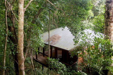 Cairns Rainforest Retreat - Accommodation Coffs Harbour 0
