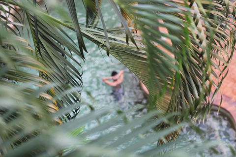 Coral Tree Inn - Accommodation Coffs Harbour 36