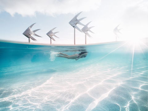 Coral Tree Inn - Accommodation Coffs Harbour 39