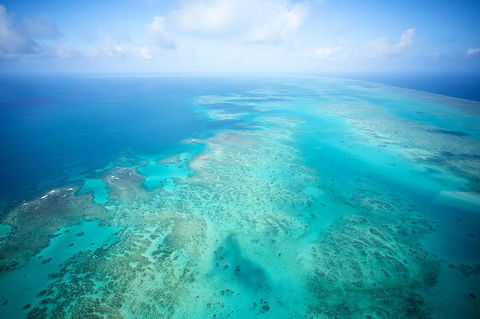 Coral Tree Inn - Accommodation Coffs Harbour 37