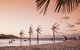 Hides Hotel - thumb 42