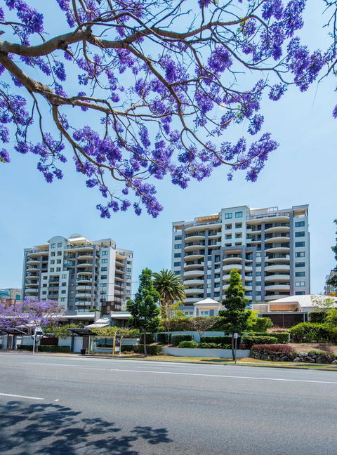 The Oasis Apartments - Accommodation Coffs Harbour 2