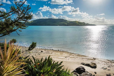 Yacht Club 19 Villa Bijou De Mer Ocean Front Private Pool 2 Buggies - Accommodation Coffs Harbour 1