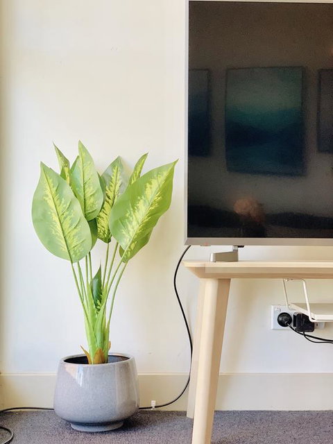 ZEN Homes On Collins - Accommodation Coffs Harbour 3