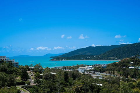 Airlie Nights - Accommodation Coffs Harbour 1
