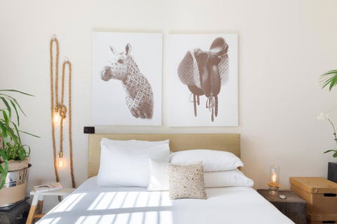 Architectural Home, Pool Oasis/ Steps From Trendy Chapel St. - Accommodation Coffs Harbour 3