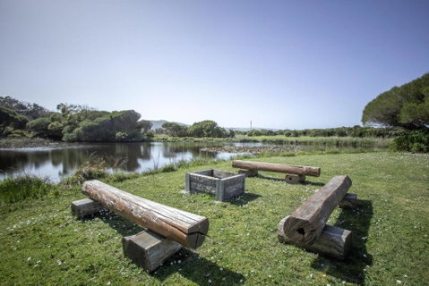 Apollo Bay Cottages- Sabine - Accommodation Coffs Harbour 2