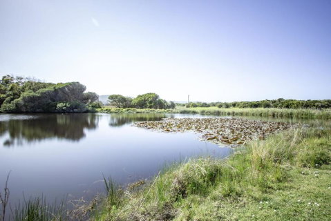 Apollo Bay Cottages- Sabine - Accommodation Coffs Harbour 3
