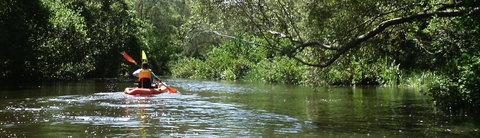 Absolute Waterfront - Accommodation Coffs Harbour 33
