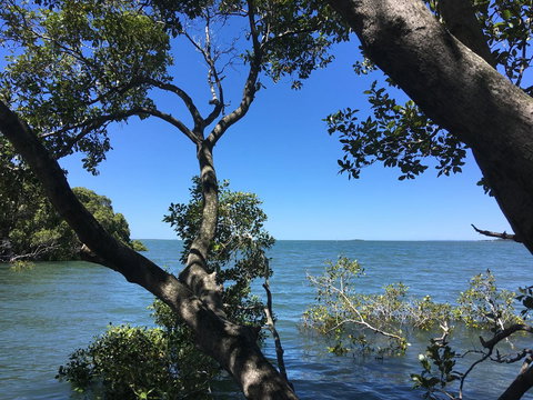 Absolute Waterfront - Accommodation Coffs Harbour 16