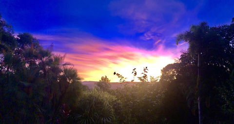 Daintree Manor B&B - Accommodation Coffs Harbour 3