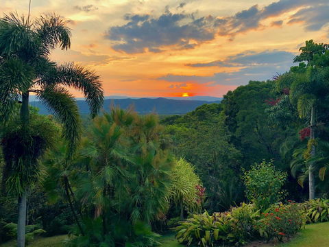 Daintree Manor B&B - Accommodation Coffs Harbour 13