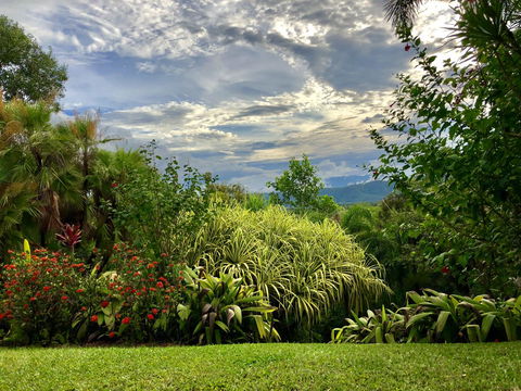 Daintree Manor B&B - Accommodation Coffs Harbour 2