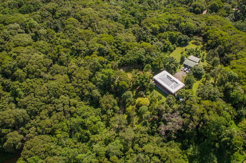 Daintree Manor B&B - Accommodation Coffs Harbour 14