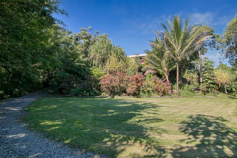 Daintree Manor B&B - Accommodation Coffs Harbour 19