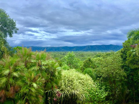 Daintree Manor B&B - Accommodation Coffs Harbour 0