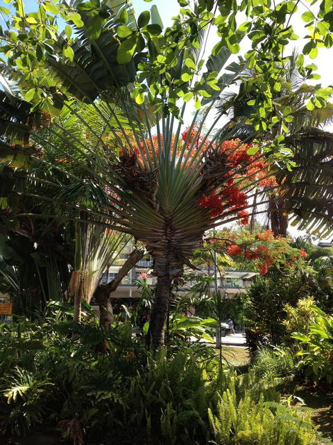 Port Douglas Apartments - Adults Only Oasis - Accommodation Coffs Harbour 39