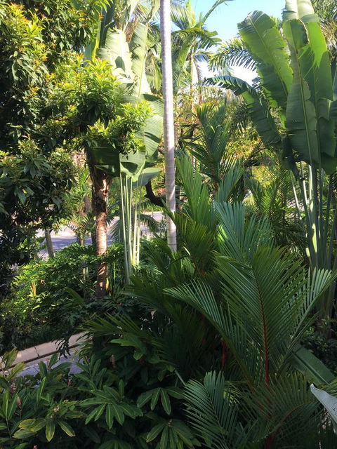 Port Douglas Apartments - Adults Only Oasis - Accommodation Coffs Harbour 1