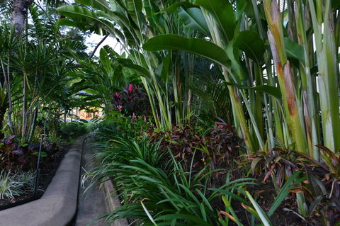 Port Douglas Apartments - Adults Only Oasis - Accommodation Coffs Harbour 9