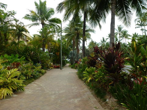 Martinique On Macrossan - Accommodation Coffs Harbour 22