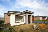 Book Cranbourne Accommodation Vacations Accommodation Coffs Harbour Accommodation Coffs Harbour