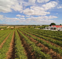 1837 Barossa Luxury Vineyard Cottages - Accommodation Coffs Harbour