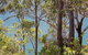 2 'Westpoint', 2 Thurlow Avenue - Ground Floor, Linen Supplied, Views - thumb 2