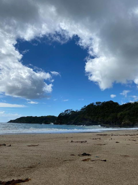 Beachfront Retreat - Ducted Air - Free Wifi - Accommodation Coffs Harbour 1