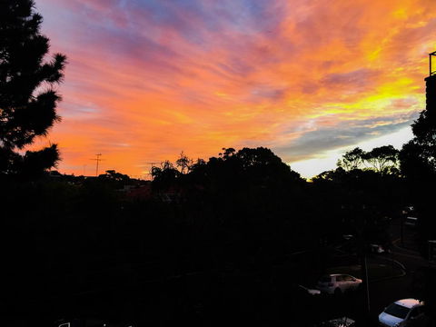 A Jewel Amongst Greenery - Accommodation Coffs Harbour 2
