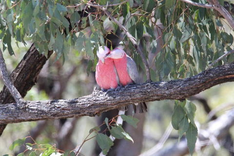 Glenaven Country Escape - Accommodation Coffs Harbour 4
