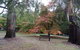 Alpine Park Riverside Cottages - thumb 2