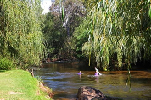 Alpine Park Riverside Cottages - Accommodation Coffs Harbour 3