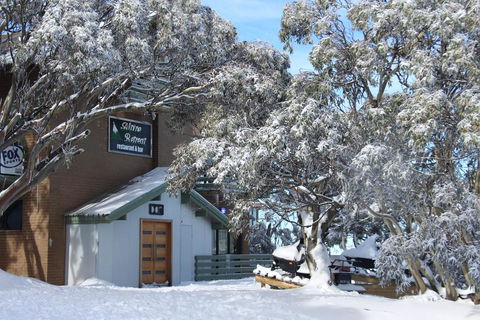 Alpine Retreat Mt Buller - Accommodation Coffs Harbour 0