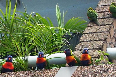 Aquajet Motel - Accommodation Coffs Harbour 3